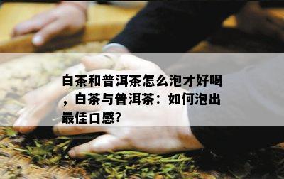 白茶和普洱茶怎么泡才好喝，白茶与普洱茶：如何泡出更佳口感？