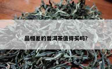 品相差的普洱茶值得买吗？