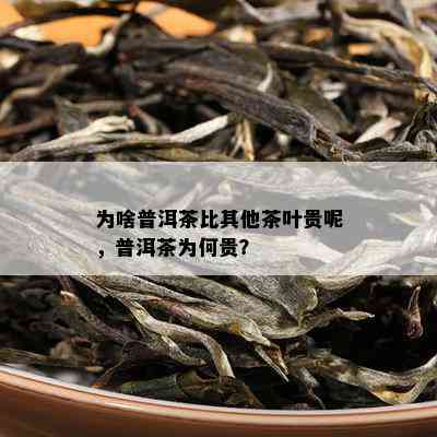 为啥普洱茶比其他茶叶贵呢，普洱茶为何贵？