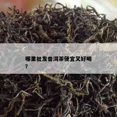 哪里批发普洱茶便宜又好喝？