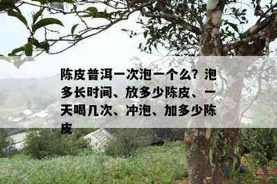 陈皮普洱一次泡一个么？泡多长时间、放多少陈皮、一天喝几次、冲泡、加多少陈皮