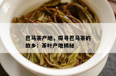 巴马茶产地，探寻巴马茶的故乡：茶叶产地揭秘