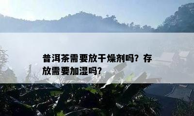 普洱茶需要放干燥剂吗？存放需要加湿吗？