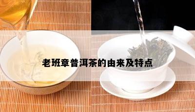 老班章普洱茶的由来及特点