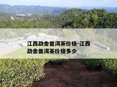 江西勐舍普洱茶价格-江西勐舍普洱茶价格多少