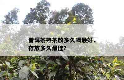 普洱茶熟茶放多久喝更好，存放多久更佳？