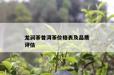 龙润茶普洱茶价格表及品质评估