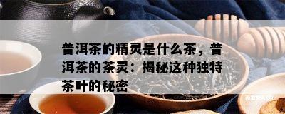 普洱茶的精灵是什么茶，普洱茶的茶灵：揭秘这种独特茶叶的秘密