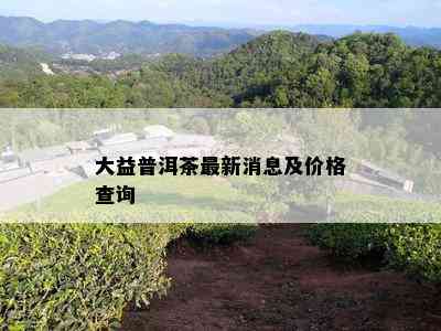 大益普洱茶最新消息及价格查询