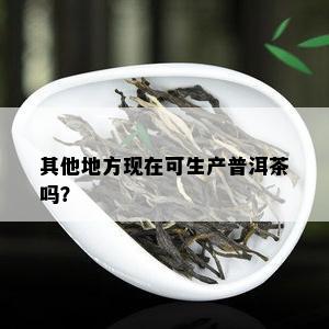 其他地方现在可生产普洱茶吗？