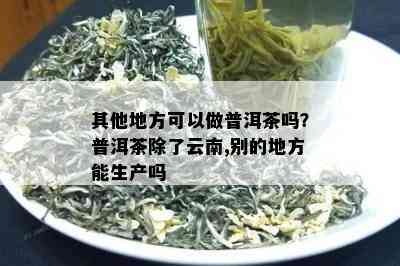 其他地方可以做普洱茶吗？普洱茶除了云南,别的地方能生产吗