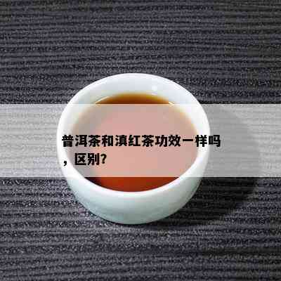 普洱茶和滇红茶功效一样吗，区别？