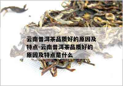 云南普洱茶品质好的原因及特点-云南普洱茶品质好的原因及特点是什么