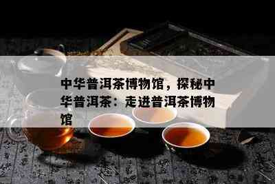 中华普洱茶博物馆，探秘中华普洱茶：走进普洱茶博物馆