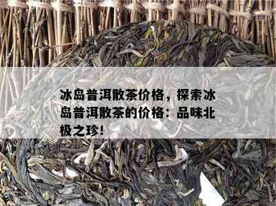 冰岛普洱散茶价格，探索冰岛普洱散茶的价格：品味北极之珍！