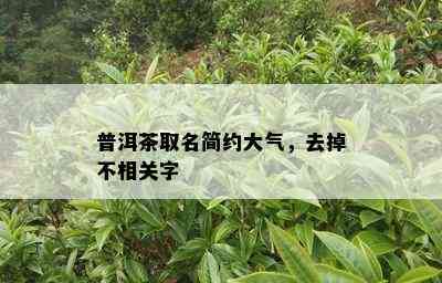 普洱茶取名简约大气，去掉不相关字