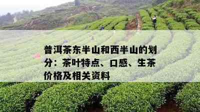 普洱茶东半山和西半山的划分：茶叶特点、口感、生茶价格及相关资料