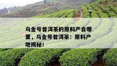 乌金号普洱茶的原料产自哪里，乌金号普洱茶：原料产地揭秘！