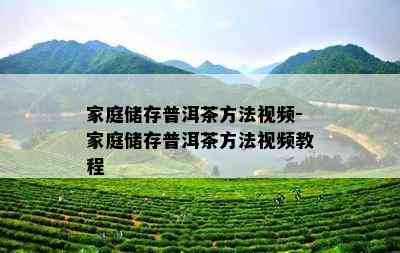 家庭储存普洱茶方法视频-家庭储存普洱茶方法视频教程