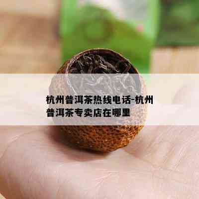 杭州普洱茶热线电话-杭州普洱茶专卖店在哪里