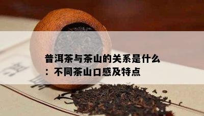 普洱茶与茶山的关系是什么：不同茶山口感及特点