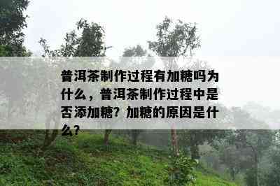 普洱茶制作过程有加糖吗为什么，普洱茶制作过程中是否添加糖？加糖的原因是什么？