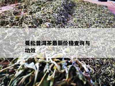 曼松普洱茶最新价格查询与功效