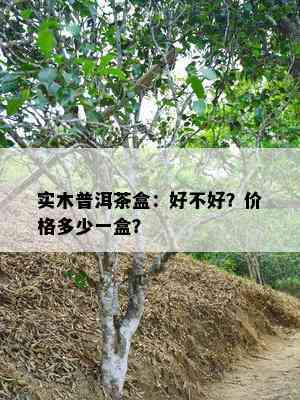 实木普洱茶盒：好不好？价格多少一盒？