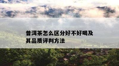 普洱茶怎么区分好不好喝及其品质评判方法