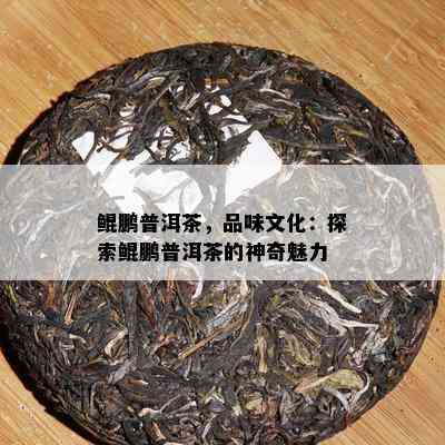 鲲鹏普洱茶，品味文化：探索鲲鹏普洱茶的神奇魅力