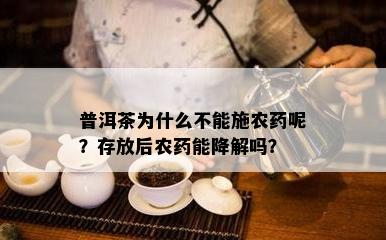 普洱茶为什么不能施农呢？存放后农能降解吗？