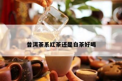 普洱茶系红茶还是白茶好喝