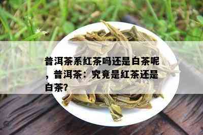 普洱茶系红茶吗还是白茶呢，普洱茶：究竟是红茶还是白茶？