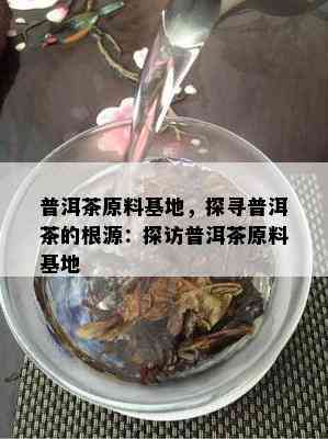 普洱茶原料基地，探寻普洱茶的根源：探访普洱茶原料基地