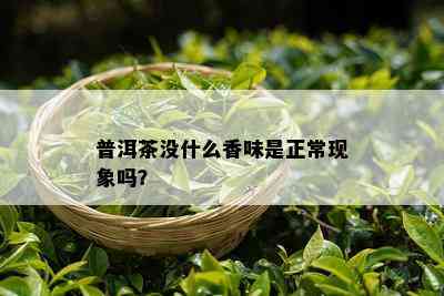 普洱茶没什么香味是正常现象吗？