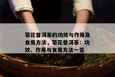 菊花普洱茶的功效与作用及食用方法，菊花普洱茶：功效、作用与食用方法一览