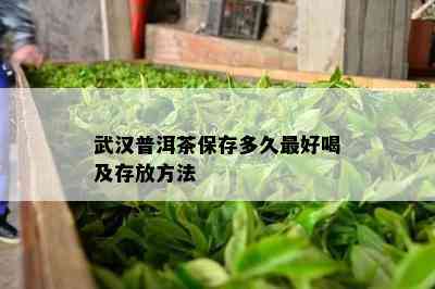 武汉普洱茶保存多久更好喝及存放方法