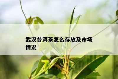 武汉普洱茶怎么存放及市场情况