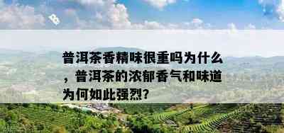 普洱茶香精味很重吗为什么，普洱茶的浓郁香气和味道为何如此强烈？