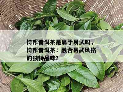 倚邦普洱茶是属于易武吗，倚邦普洱茶：融合易武风格的独特品味？