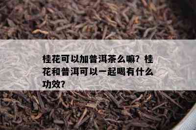 桂花可以加普洱茶么嘛？桂花和普洱可以一起喝有什么功效？