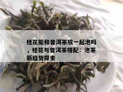 桂花能和普洱茶放一起泡吗，桂花与普洱茶搭配：泡茶新趋势探索