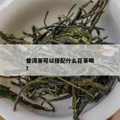 普洱茶可以搭配什么花茶喝？