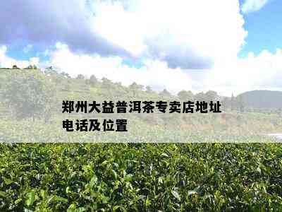 郑州大益普洱茶专卖店地址电话及位置