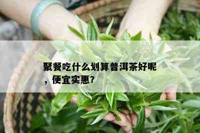 聚餐吃什么划算普洱茶好呢，便宜实惠？