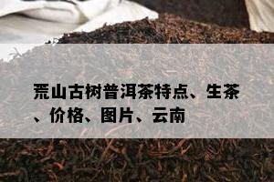 荒山古树普洱茶特点、生茶、价格、图片、云南