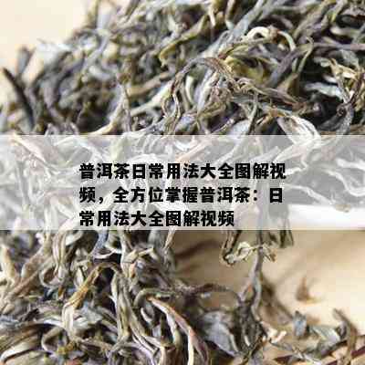 普洱茶日常用法大全图解视频，全方位掌握普洱茶：日常用法大全图解视频