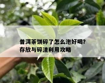 普洱茶饼碎了怎么泡好喝？存放与碎渣利用攻略