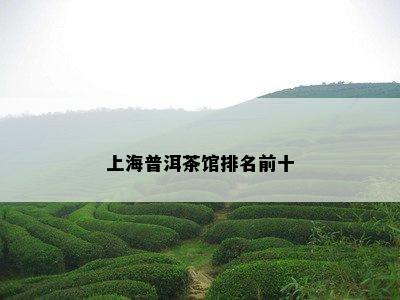 上海普洱茶馆排名前十