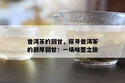 普洱茶的回甘，探寻普洱茶的醇厚回甘：一场味蕾之旅